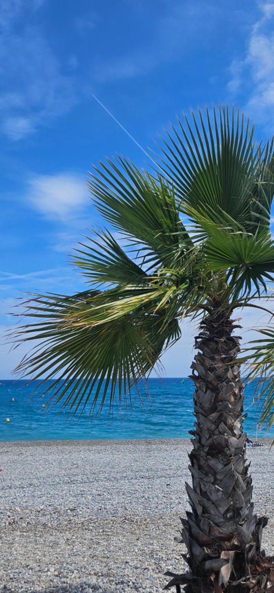 Studio Saint-Laurent-Du-Var Bord De Mer ภายนอก รูปภาพ
